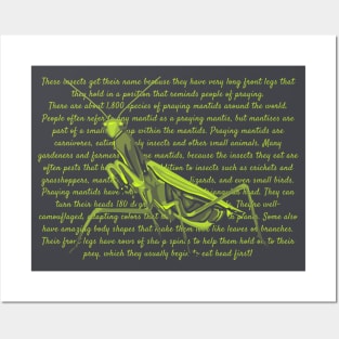 Praying Mantis Info Posters and Art